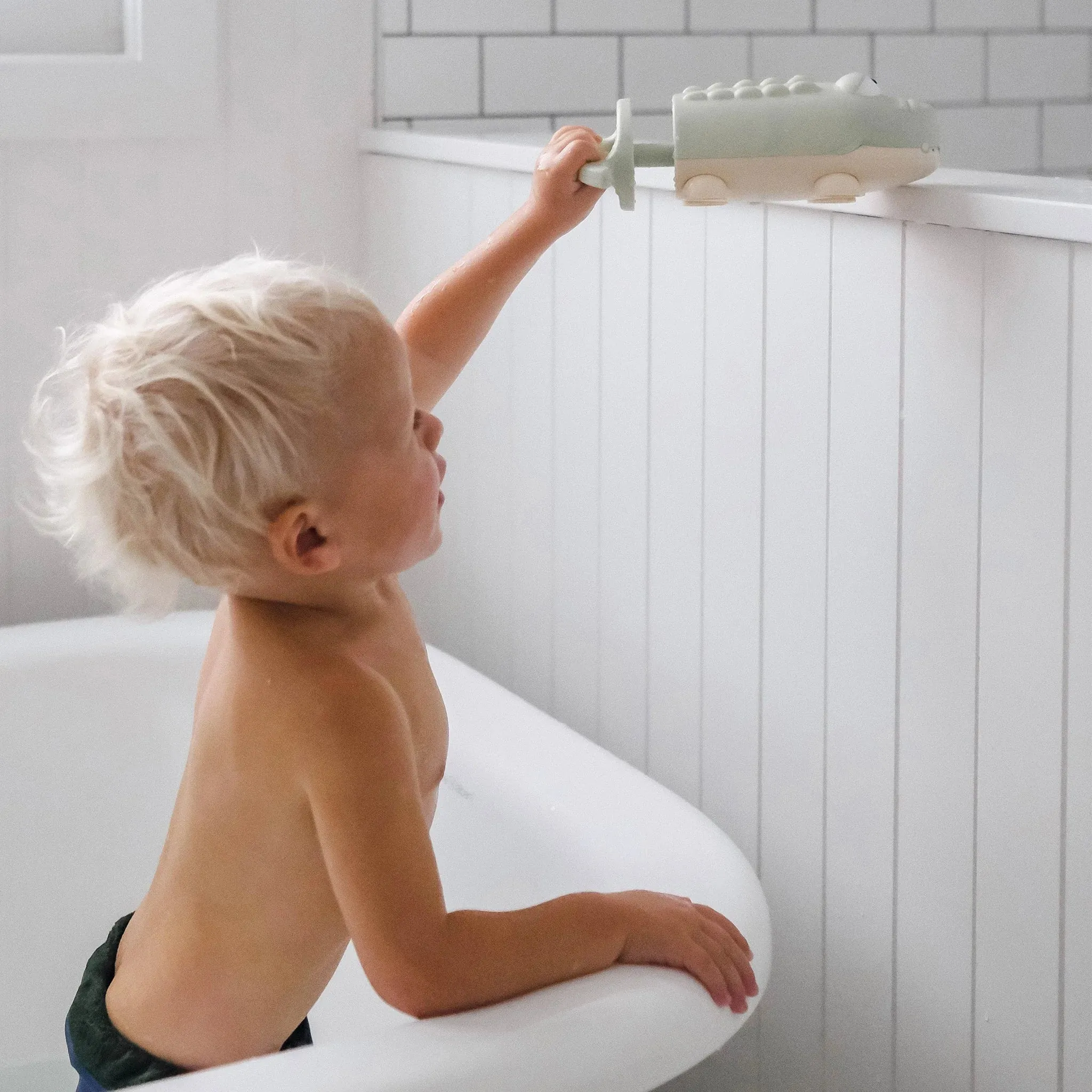 Crocodile Water Squirter