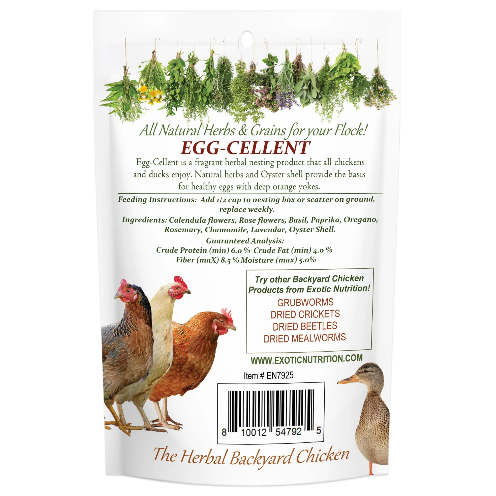 Egg-Cellent Chicken Nesting Herbs Backyard Chicken Treat
