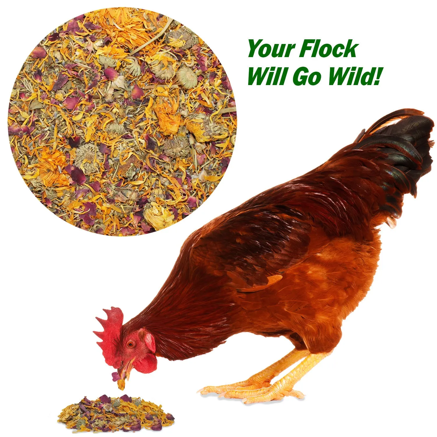 Egg-Cellent Chicken Nesting Herbs Backyard Chicken Treat
