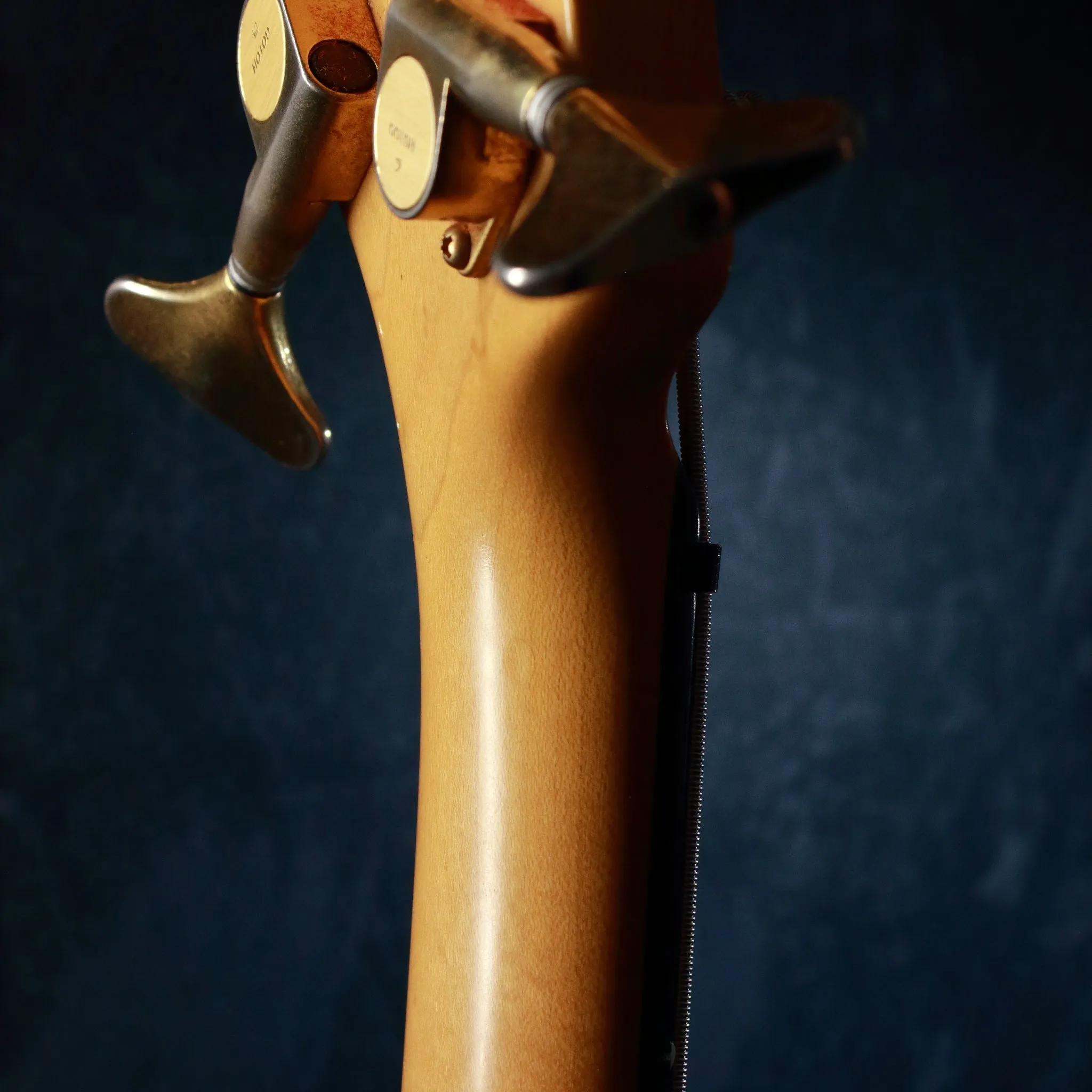 Fernandes P-Project Lightweight-J Honeyburst c1995