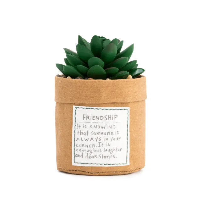 Friendship Succulent