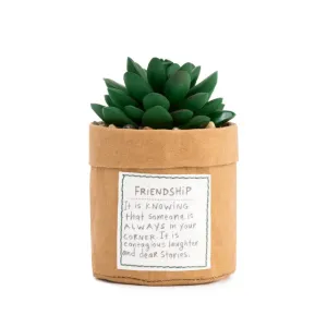 Friendship Succulent