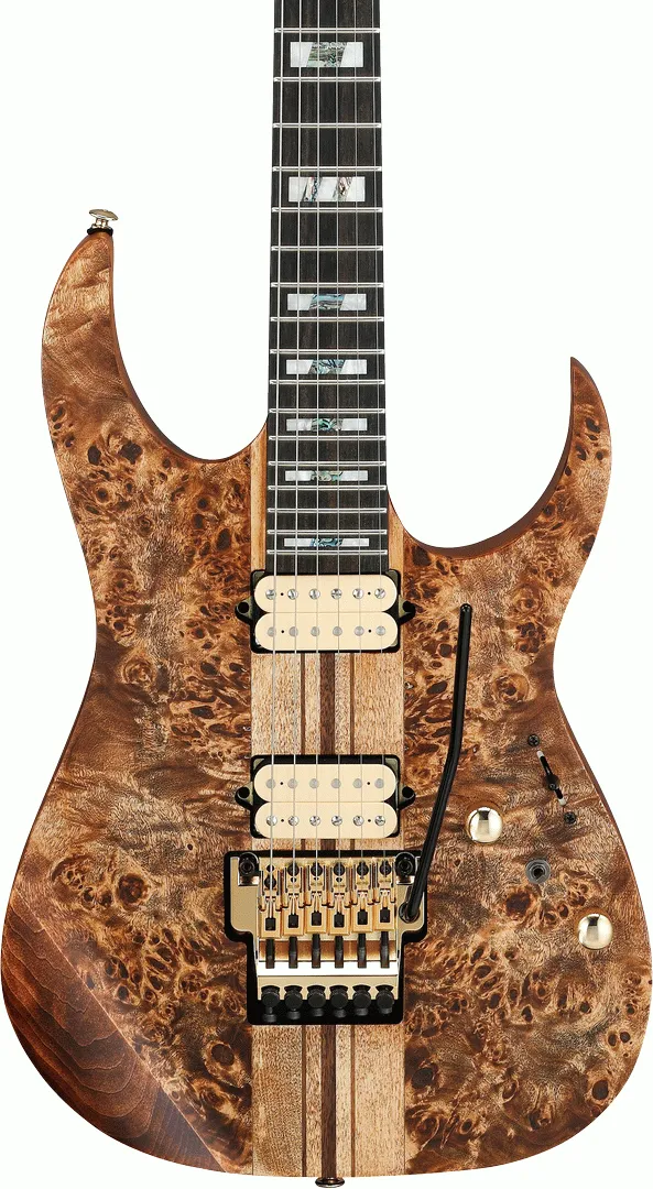 Ibanez RGT1220PB ABS Electric Guitar - Antique Brown Stained