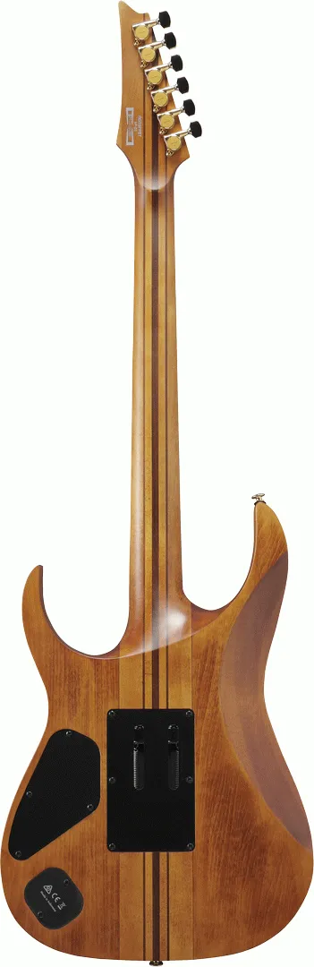Ibanez RGT1220PB ABS Electric Guitar - Antique Brown Stained