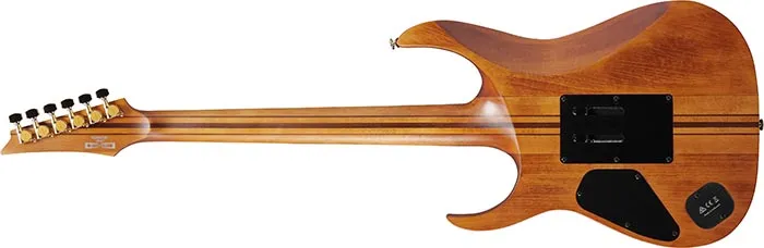 Ibanez RGT1220PB ABS