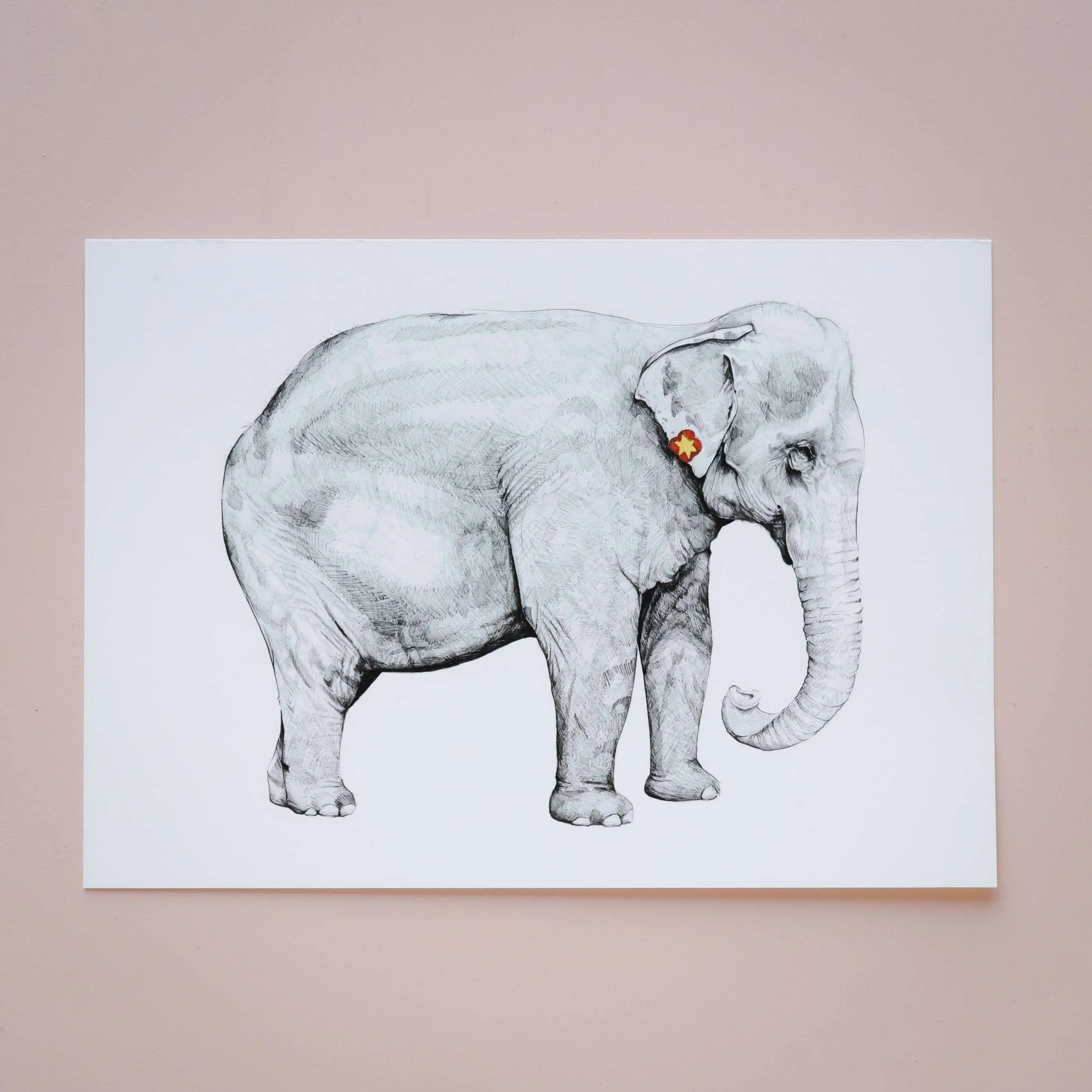 Mae Giclée Print