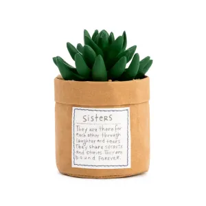 Sisters Succulent